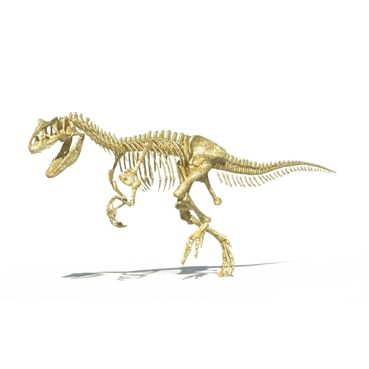 3D Rendering Of An Allosaurus Dinosaur Skeleton Poster Print